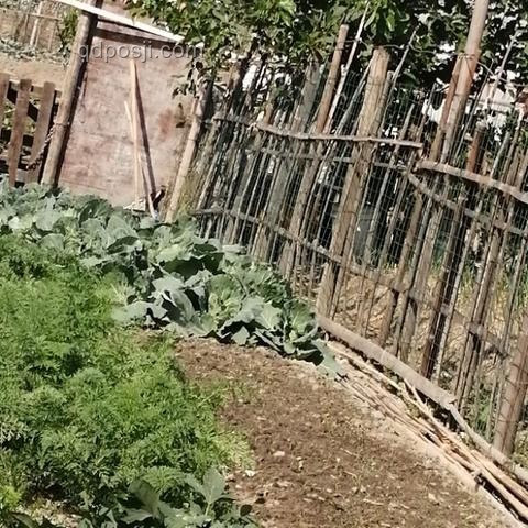 到22岁分房养老补贴社区：未来趋势与可持续发展探索